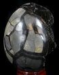 Septarian Dragon Egg Geode - Crystal Filled #37380-3